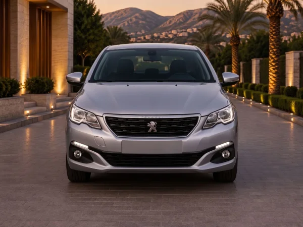 2019 Peugeot 301